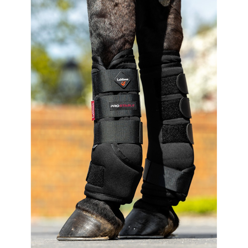 LeMieux Stable Boots - Black-1